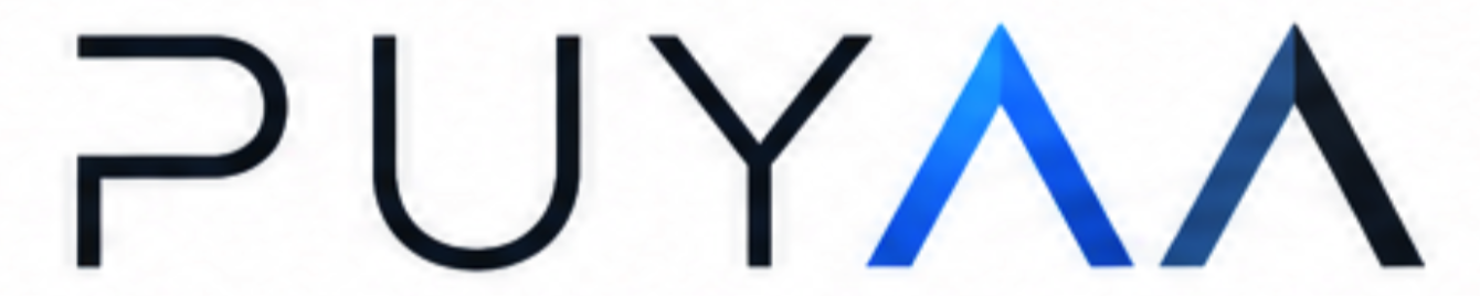 Puyaa International Expertise